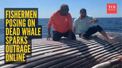 Watch: Viral video of fishermen posing on dead whale sparks outrage online