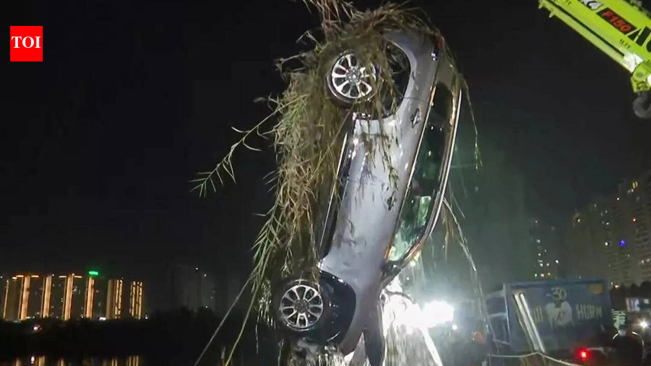 Noida techie death case: NDRF retrieves car from waterlogged pit after 3 days — video