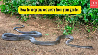 Snakes in your garden? These 6 plants can help keep them away naturally