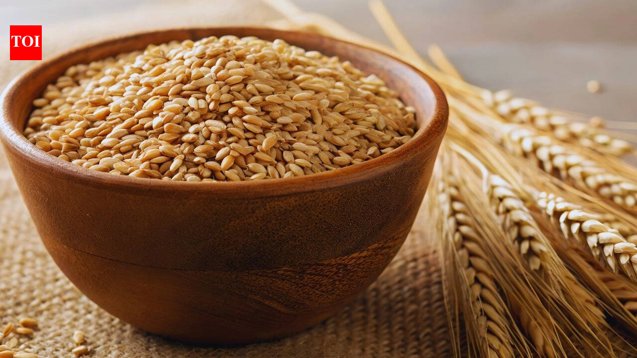 What is Khapli wheat and why it is so much in the news? Expert sheds light on the reasons to eat Khapli wheat chapatis