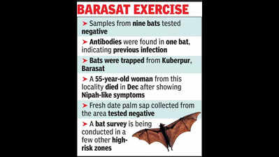 Bat survey: No active Nipah virus in any, antibodies found in one