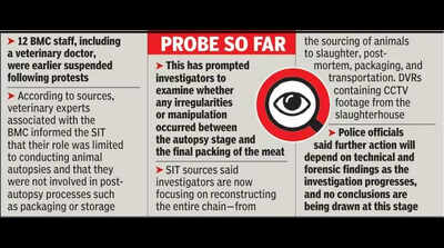 Abattoir mystery: SIT likely to send ‘meat’ for DNA test