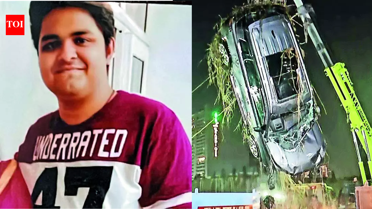 Noida techie death case: Realtor who owns plot arrested; SIT probes why rescue efforts failed & developer’s role