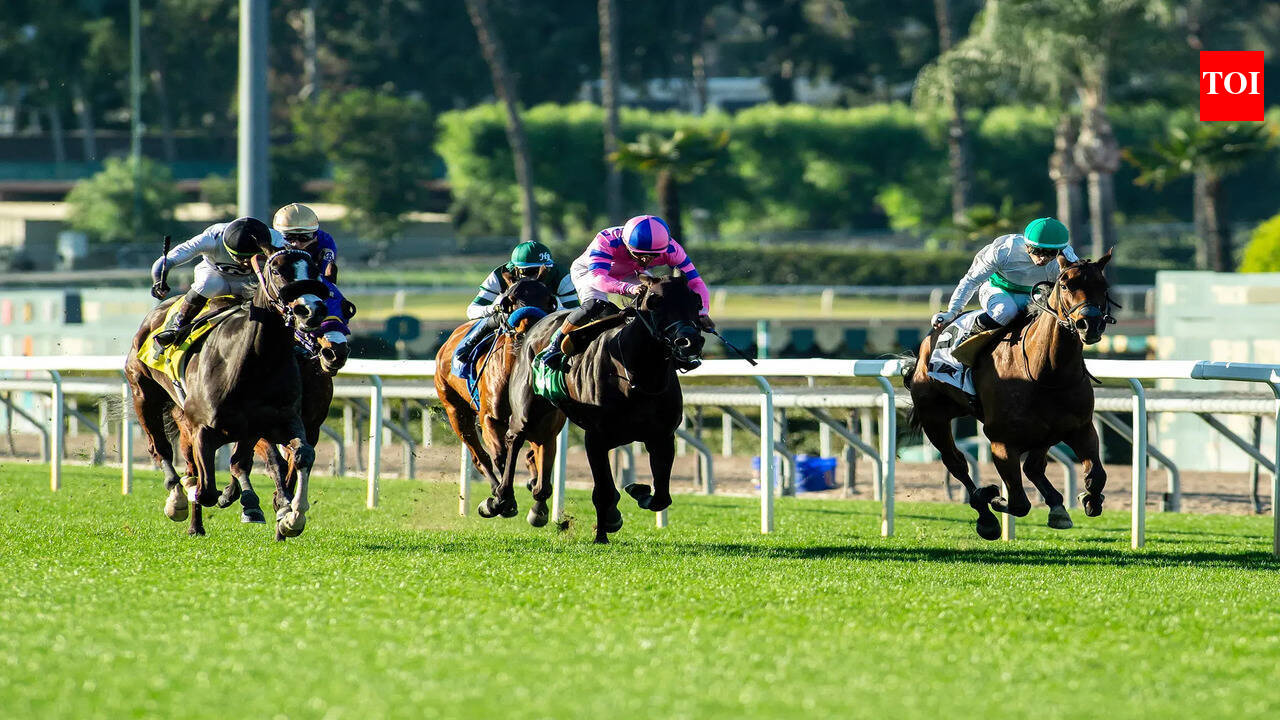 Eagle Day fancied to claim feature