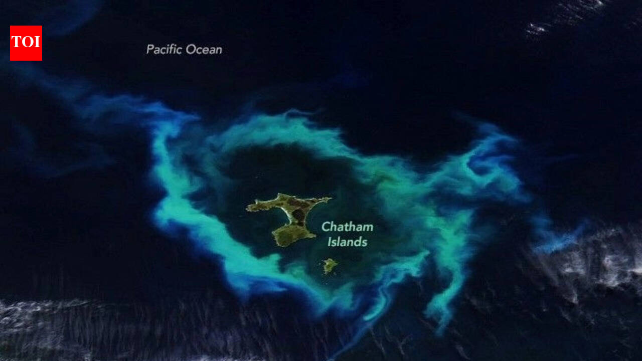 NASA captures a ring of colour in the Pacific near the Chatham Islands