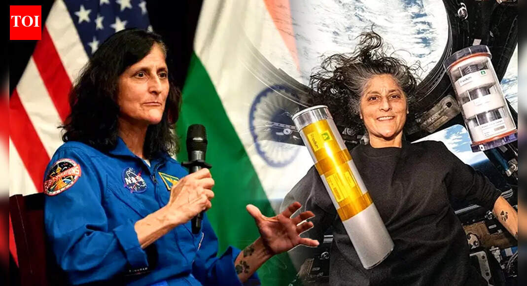 Indian-origin NASA Astronaut Sunita Williams Says Her First Act In Space Was To Spot India, Home