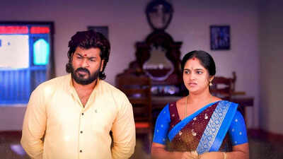 Chinna Marumagal: Everything about the family drama starring Navin Kumar and Swetha