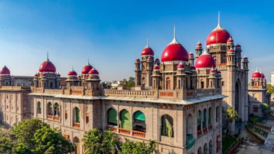 Telangana HC transfers PIL on mass killing of community dogs at Hyderabad's Symbiosis International University to SC