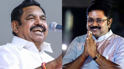 'To Remove Corrupt DMK': TTV Dhinakaran Meets Goyal As AMMK Rejoins NDA Ahead Of Tamil Nadu Polls