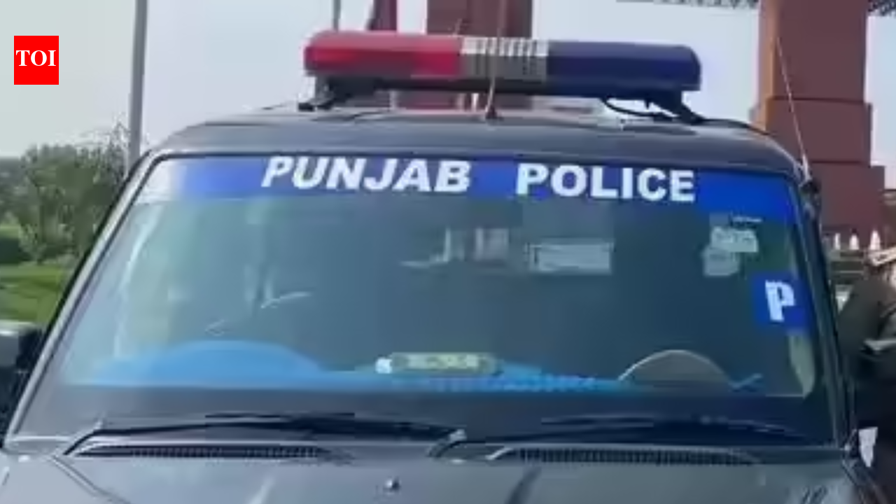Punjab: Elder brother kills younger brother in Barnala over drug dispute