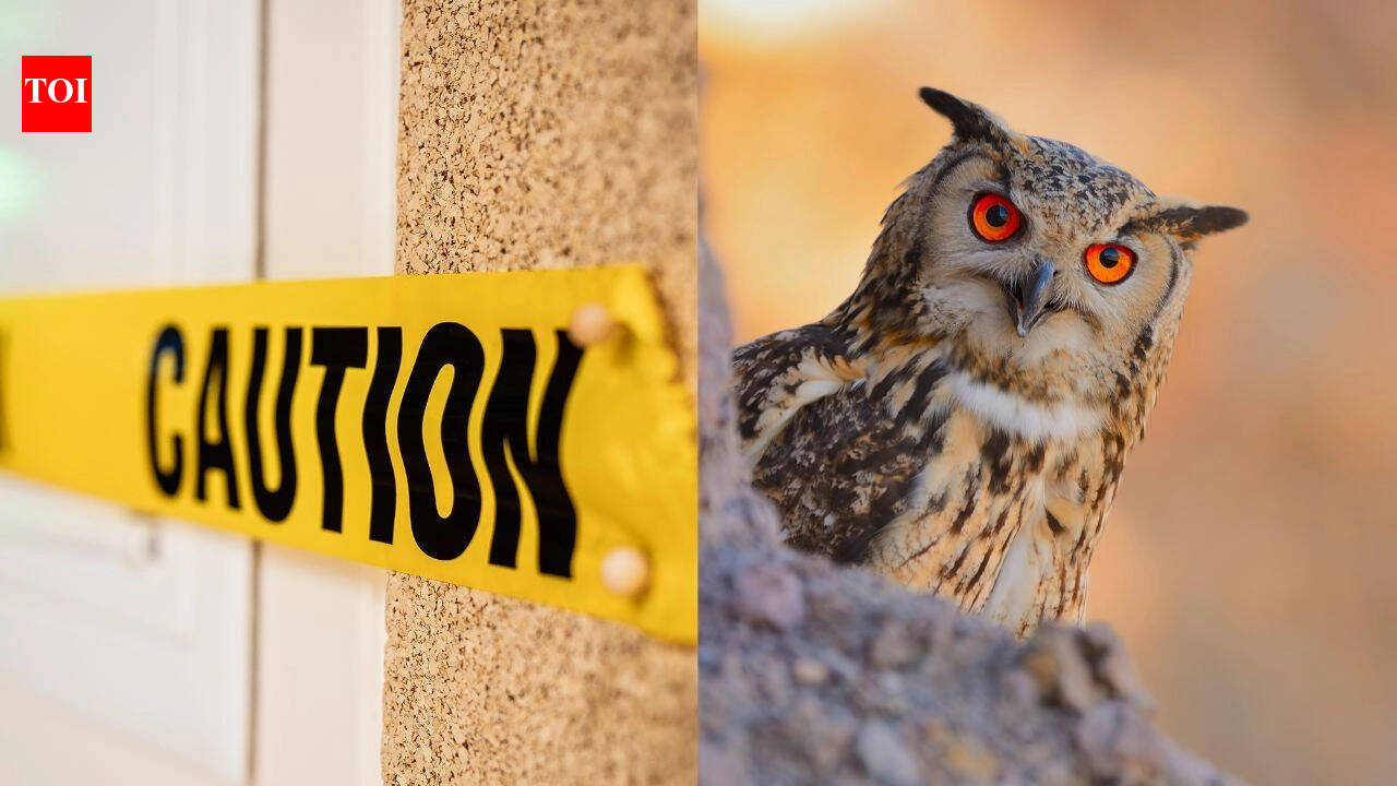 4 Signs that the universe gives you to stay careful