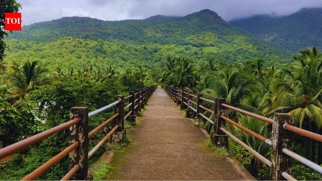 I travelled against the usual trend in Goa and what I saw was something I could have never imagined