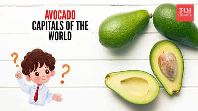  Which place is the avocado capital of the world