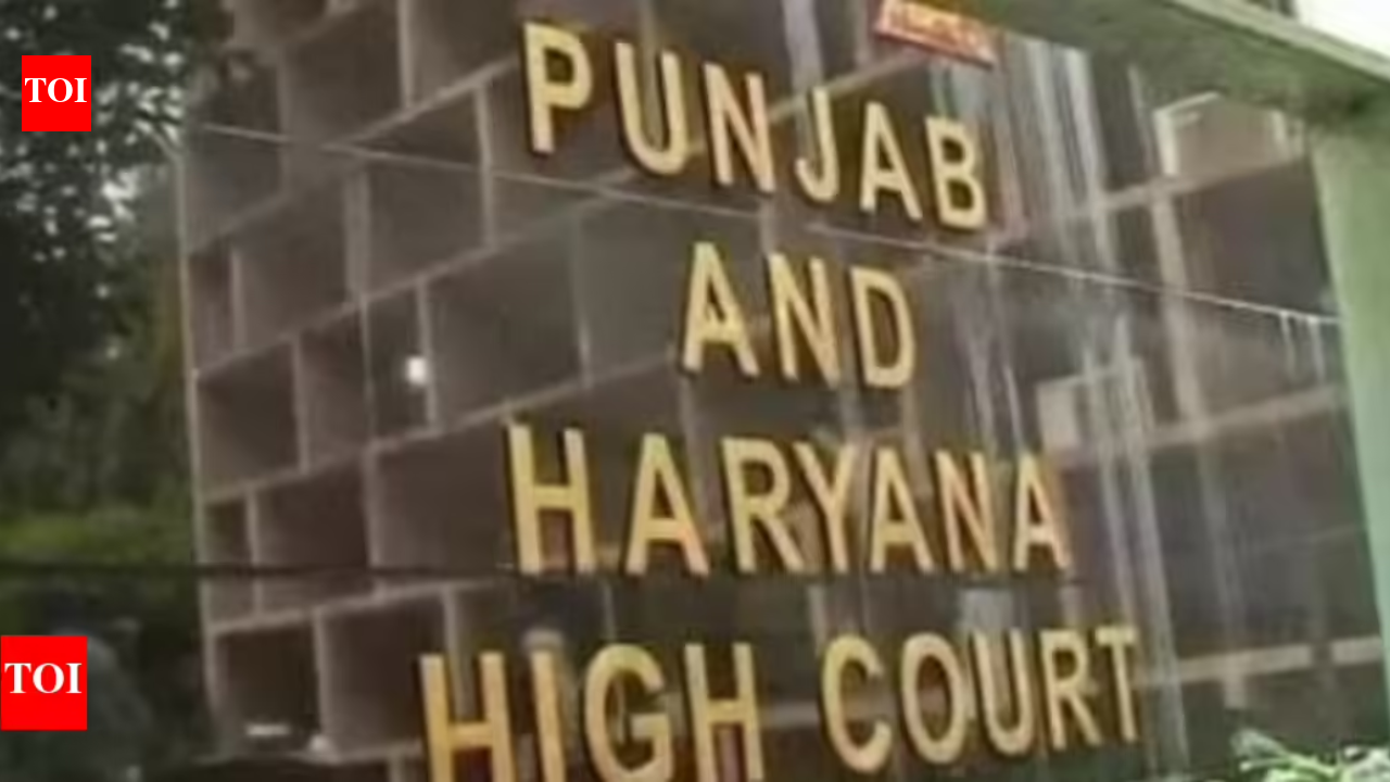 HC transfers stray dog PIL to Supreme Court following apex court directions