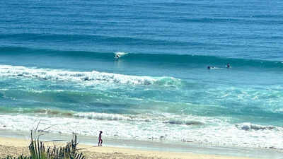 19-year-old Canadian woman found dead on Australian beach surrounded by wild dogs