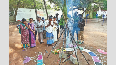  Trichy Family's Decade-Long Secret to Festival Success