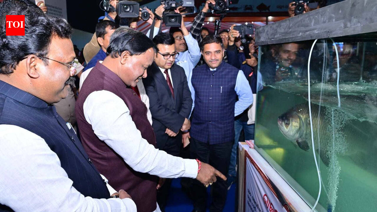 CM warns of stringent action against cattle smugglers