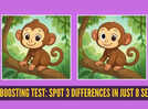 Brain boosting test: Spot 3 tricky differences in these monkey pictures in just 8 seconds!