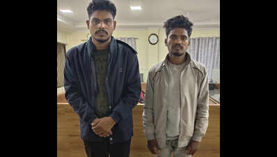 Radiologist duped of Rs 35,000 by fraudster mimicking voices of min, spiritual leader