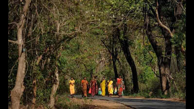Given rehab, ‘many tribals return to SGNP’, protest demolition notice