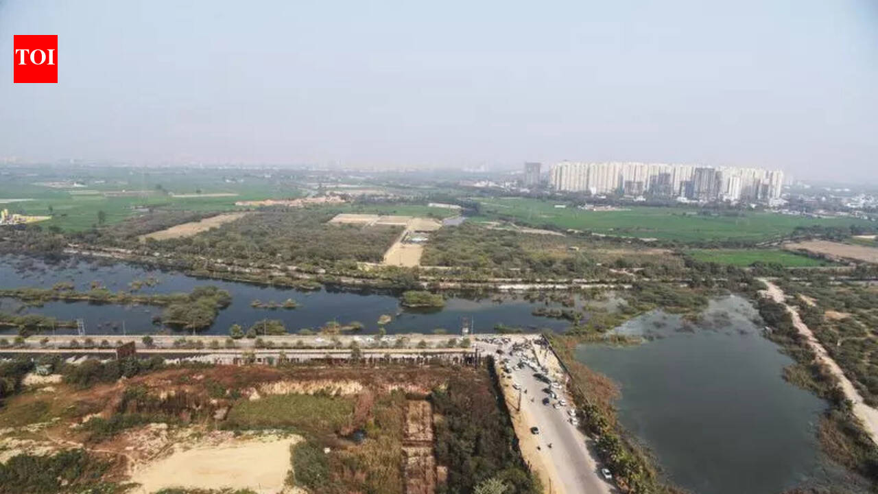 Noida Sector 150 plot owner named in second FIR | Noida News - The ...