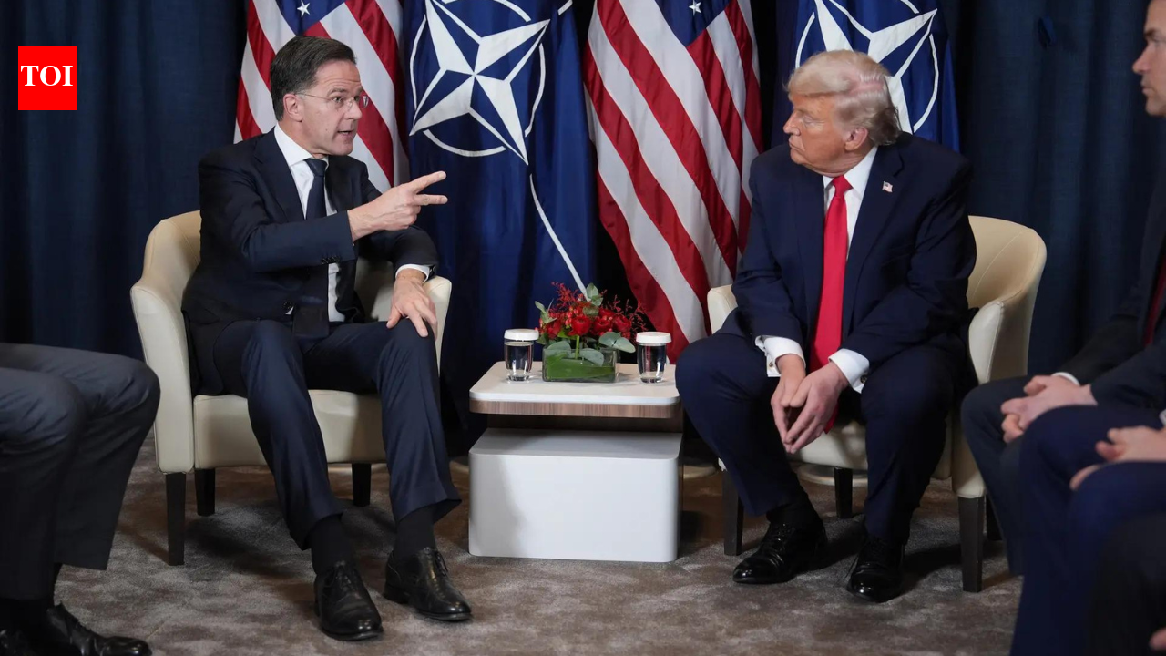 'Very productive meeting': Trump backs off on Greenland tariff threat; claims to have reached 'framework' for deal with European allies