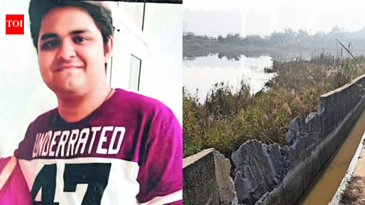 Noida techie's death: Developer flagged sewer collapse in 2022; Yuvraj Mehta drowned in same water-filled trench 4 years later