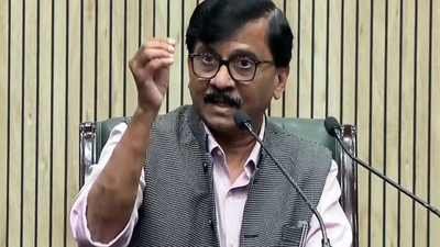 ‘Ridiculous’: Sanjay Raut takes ‘picnic in Davos’ jibe at Fadnavis; CM’s wife Amruta Fadnavis hits back