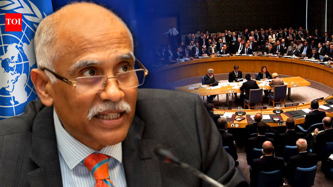 India Pushes Urgent Security Council Reform At UN, Says Status Quo Is Fueling Conflict And Misery