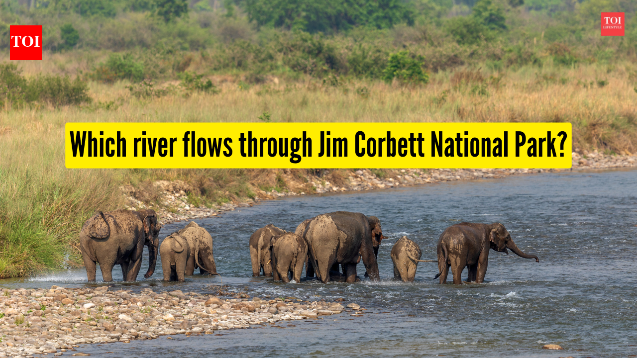 Which river flows through Jim Corbett National Park?