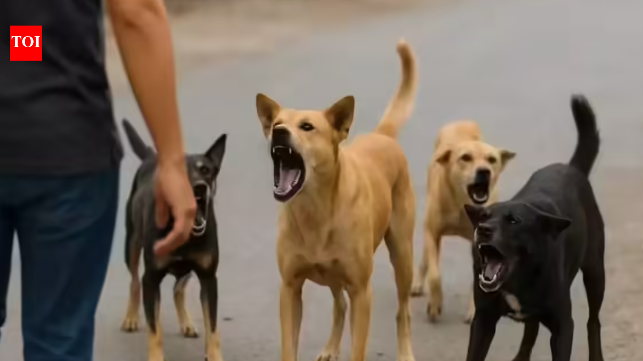 Hyderabad: 5-year-old girl injured after stray dog attack in Suraram Colony