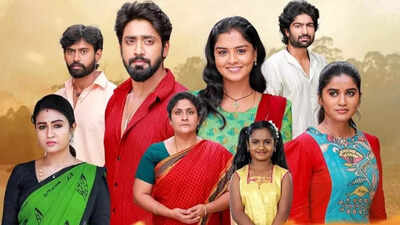 Mahanadhi: Everything about the family drama starring Lakshmi Priya and Swaminathan Anantharaman