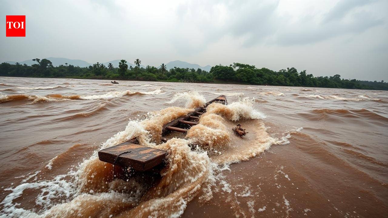 Chhattisgarh: 6 swept away in Indravati river, bodies of mom-newborn fished out, 2 still missing