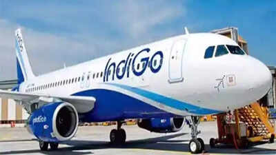 'Apply for IndiGo's vacated slots, but only if you can mount extra flights;' Government tells airlines