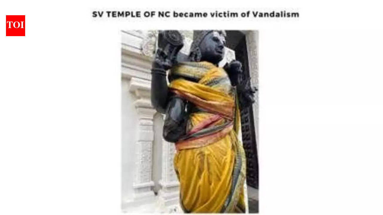 'Not just vandalism’: Statue damaged at Hindu temple in US, investigation under way