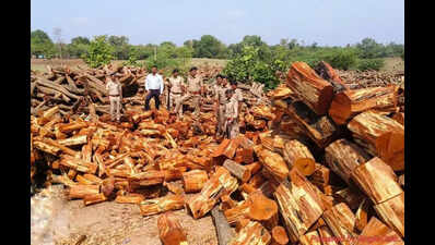 Khair wood smuggling: 14 properties of accused attached in Godhra