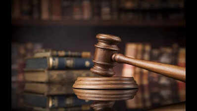 Bail for ex-sarpanch accused of facilitating illegal mining via Aravali