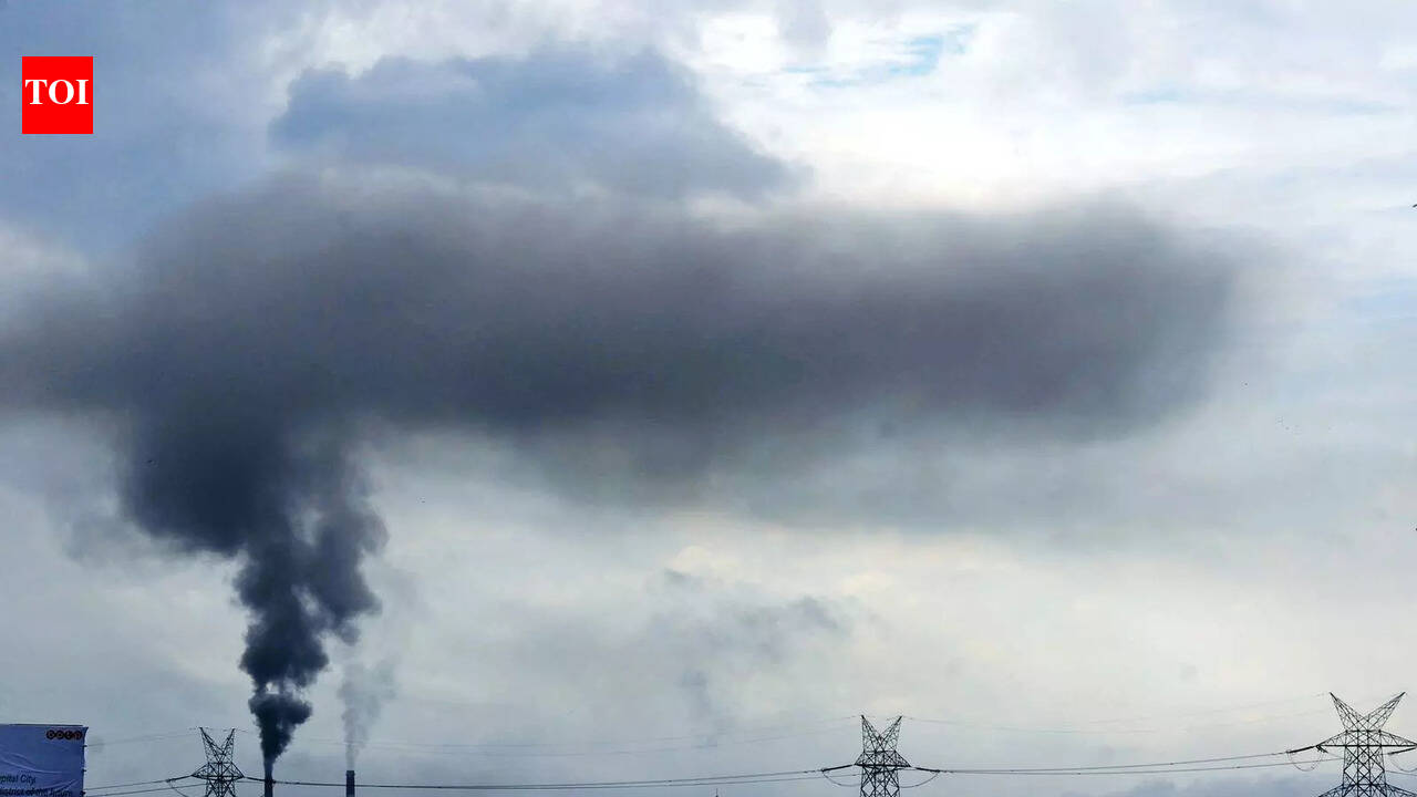 India becoming Net Zero is non-negotiable: Expert