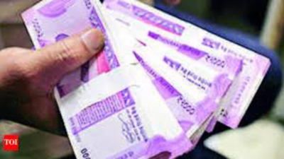 General Atlantic bets on Balaji Wafers, to buy minority stake