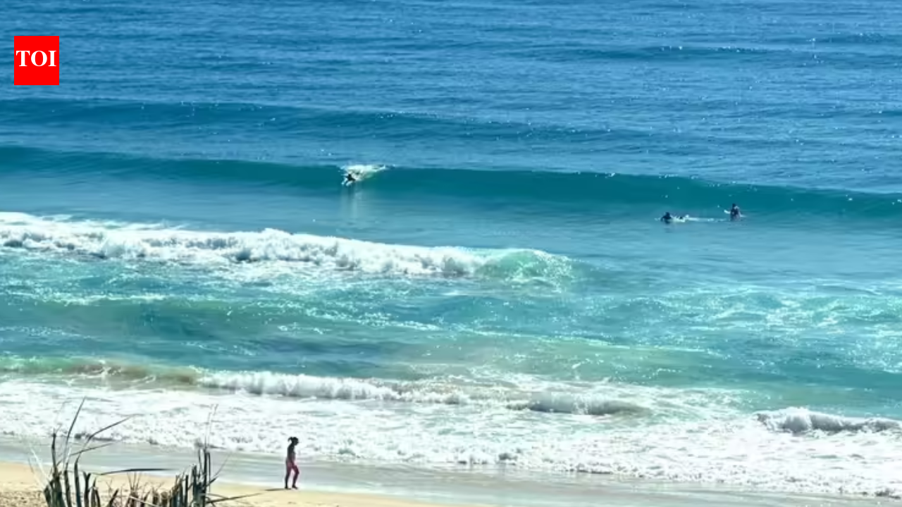 ‘Our hearts are shattered’: Father of Canadian woman found dead near wild dogs on Australian beach