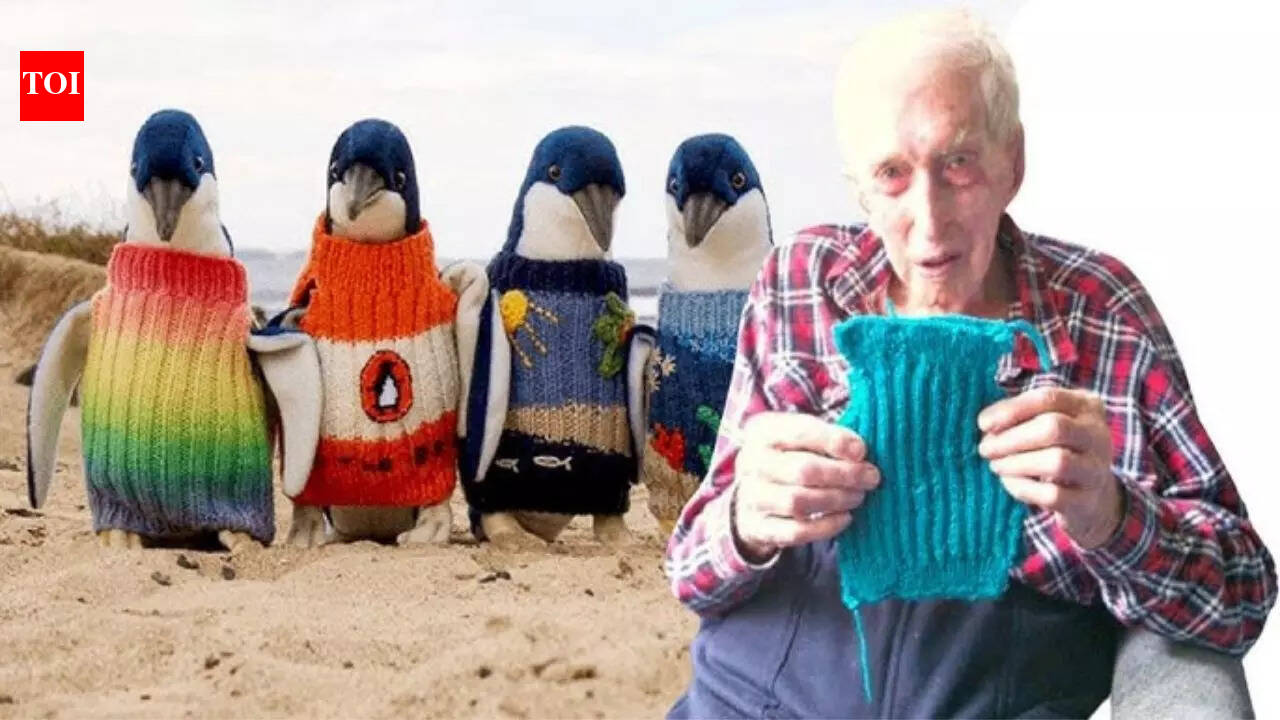 What a GOAT: 110-year-old Australian man knits tiny jumpers for injured penguins in his final years