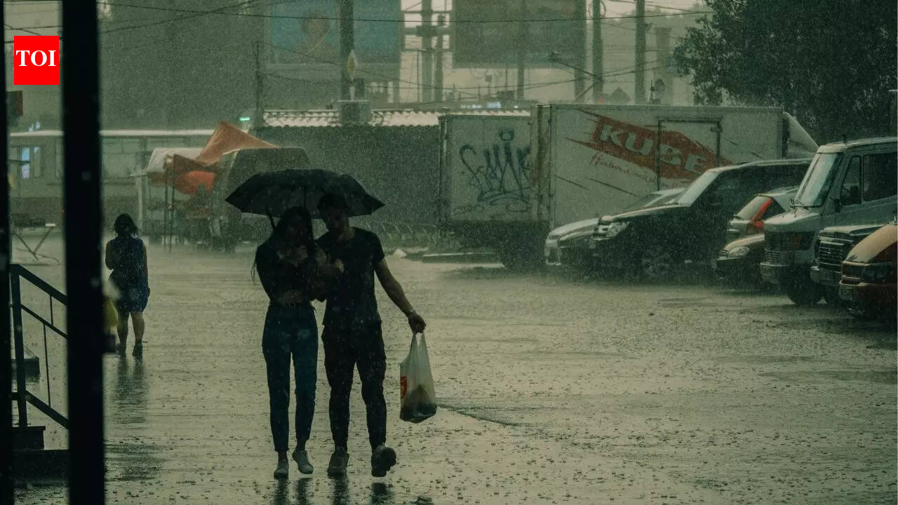 Light rain on Vasant Panchami brings brief relief to Delhi; IMD forecasts light showers and thunderstorms