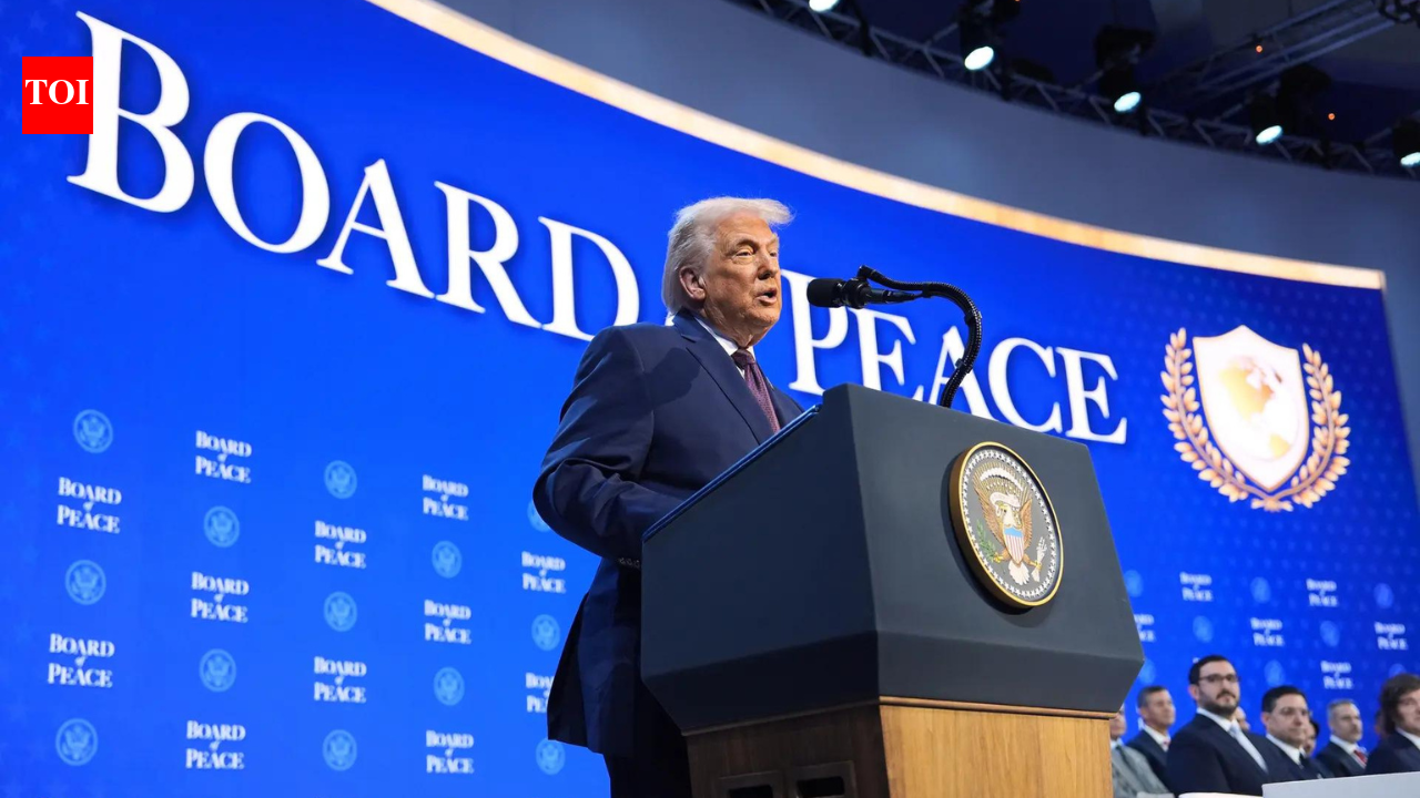 ‘Should have put Nato to test’: Trump hints at invoking Article 5 for US border crisis