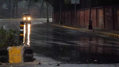 New Delhi weather: Light rain, mild temperatures; 'severe' air quality concerns