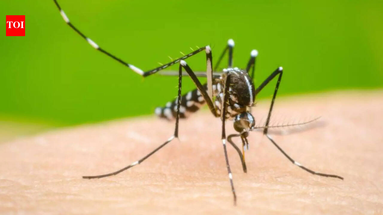 Low Vitamin D may worsen Dengue outcomes, global study raises questions for India