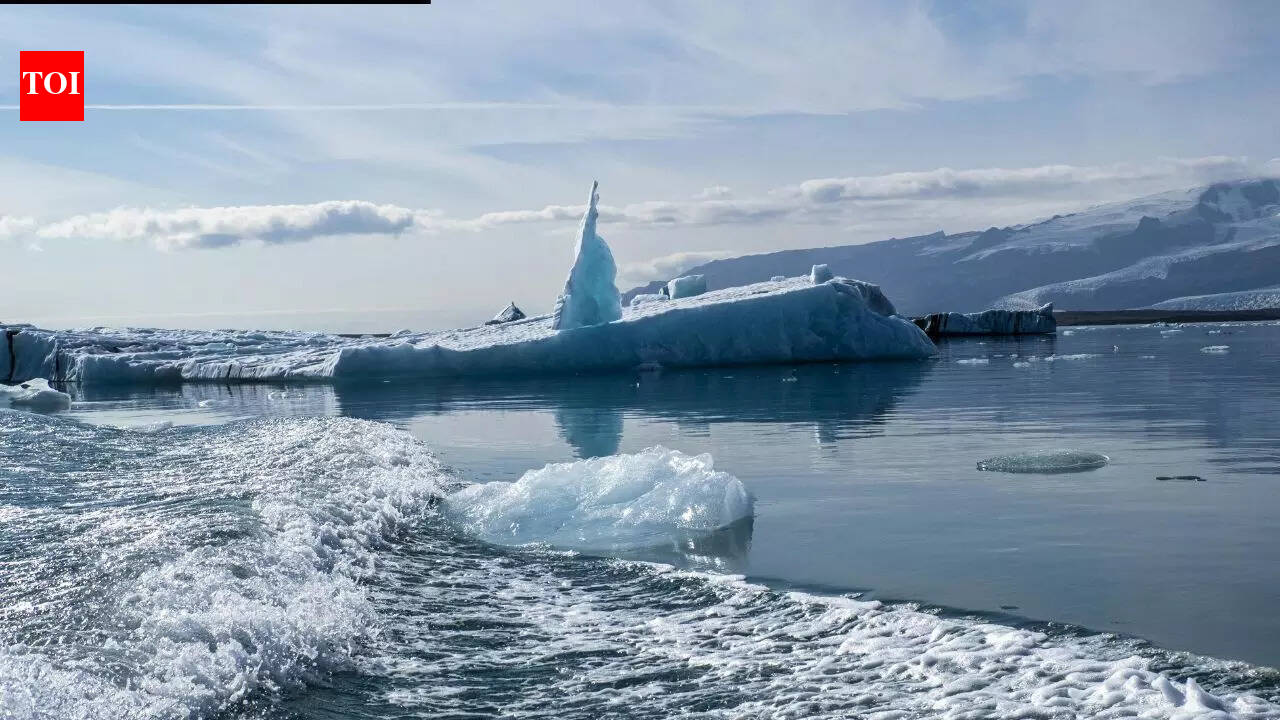 Life under the Arctic ice is moving in ways no one expected