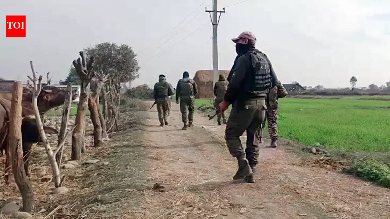 J&K encounter: 'Most wanted' Jaish terrorist killed in Kathua; was a Pakistani national