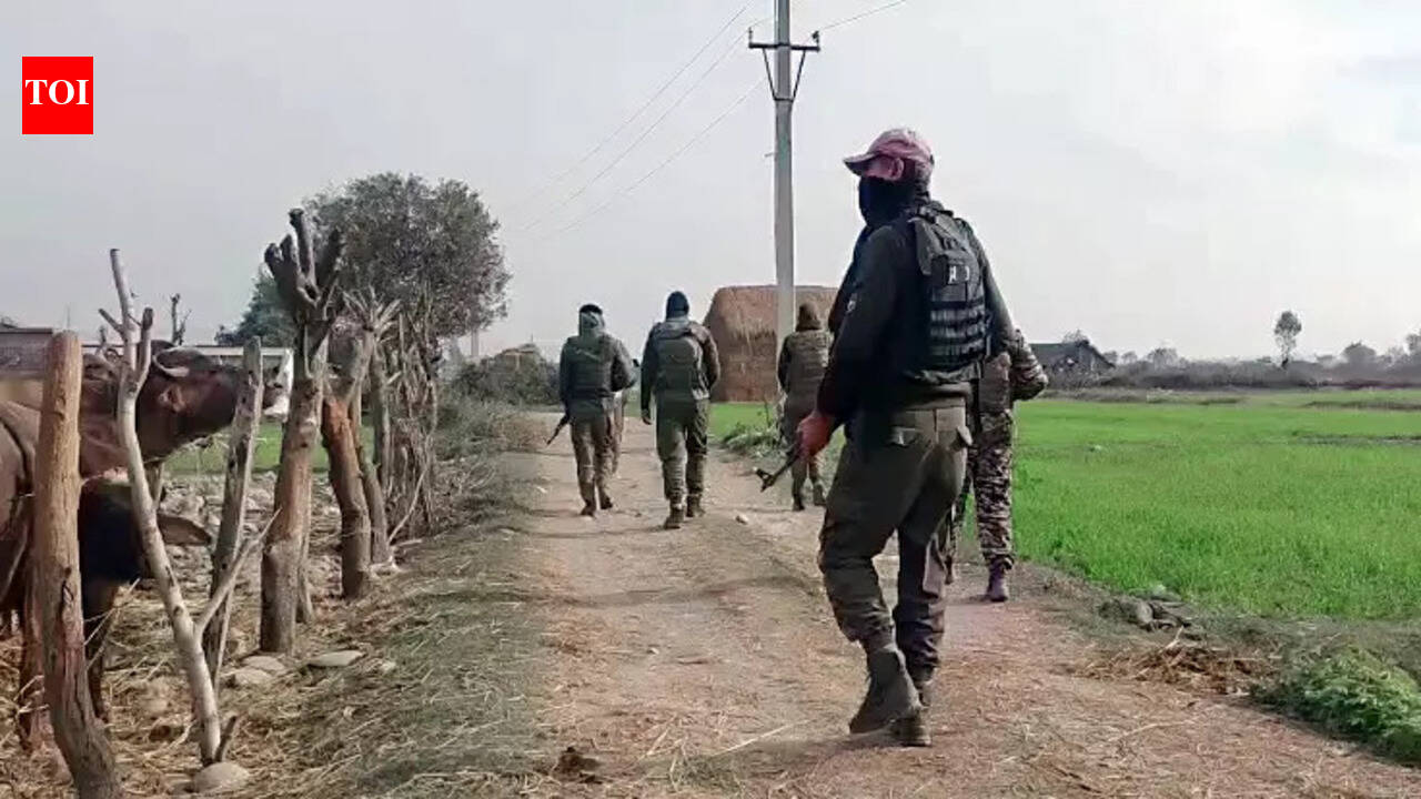 J&K encounter: JeM terrorist killed in Kathua; big anti-terror op under way