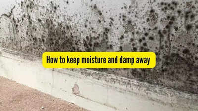 How to keep moisture and damp away from your walls and almirah
