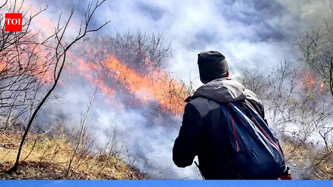 The Himalaya’s Vanishing Snow?